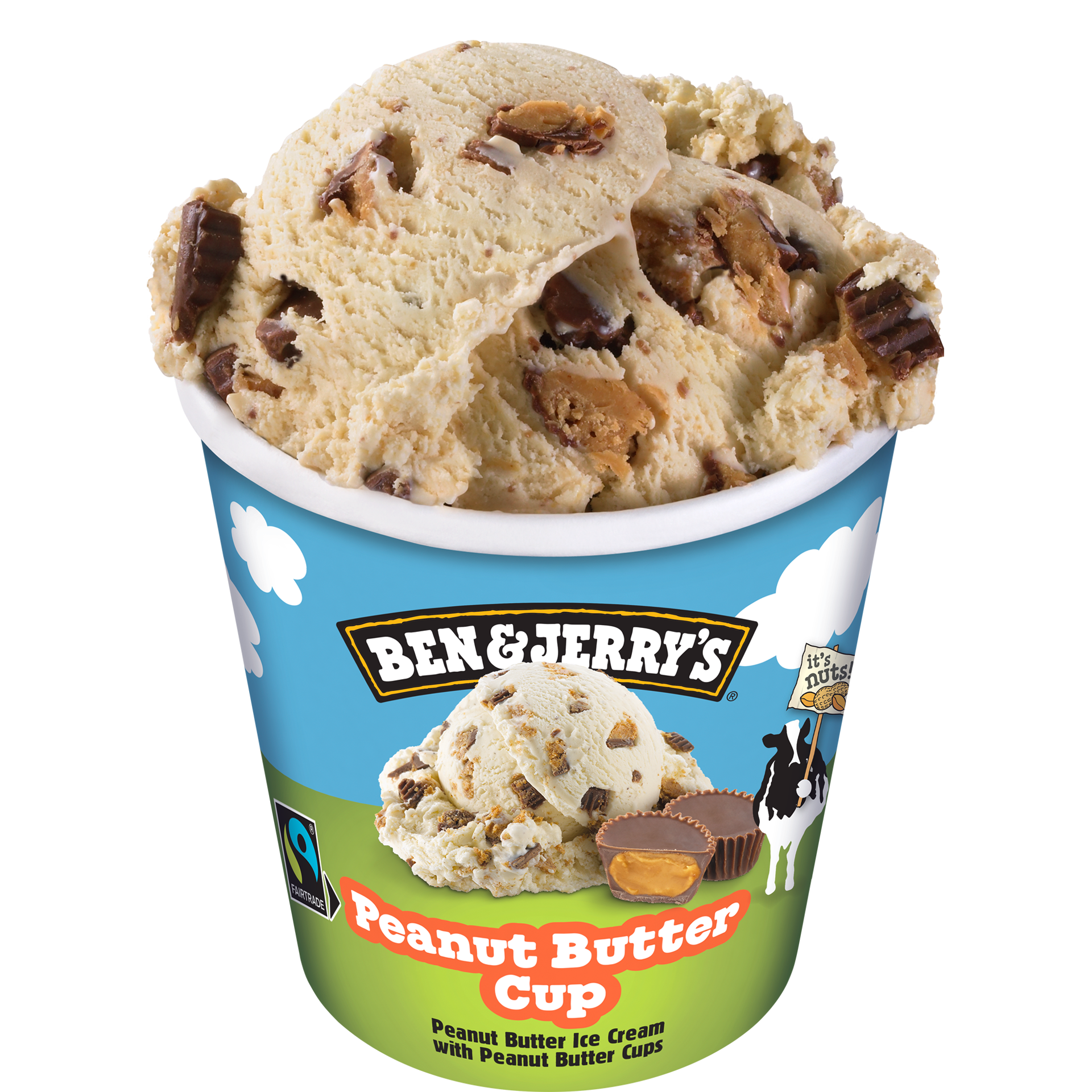 Peanut Butter Cup Original Ice Cream Pinty