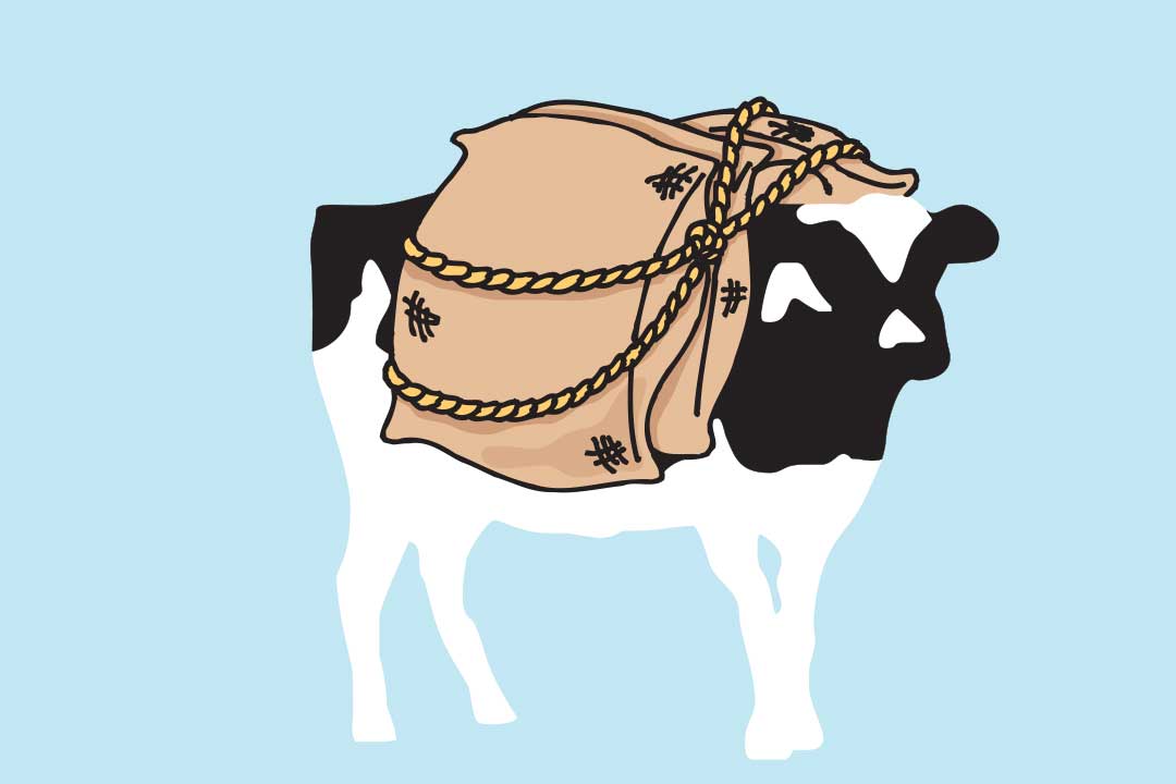 Woodie z torbami na grzbiecie